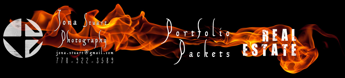 back to main gallery page