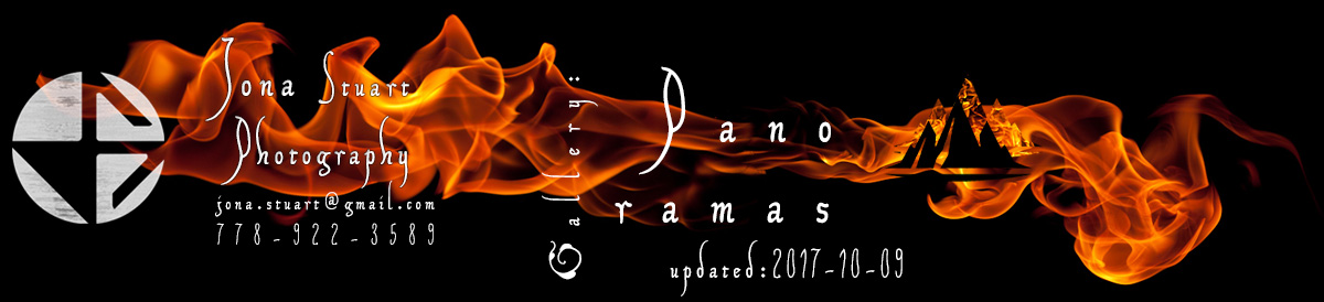 back to main gallery page